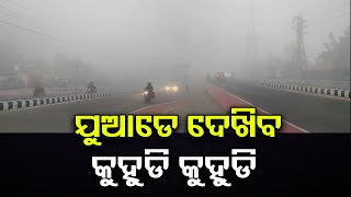 ଯୁଆଡେ ଦେଖିବ କୁହୁଡି କୁହୁଡି   | Odisha Reporter