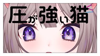 【雑談】どうも、圧の強い猫です。【新人VTuber/猫酔くる】