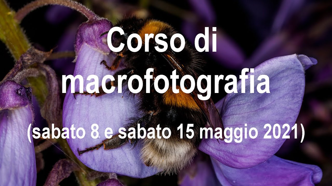 Corso Di Macrofotografia - YouTube