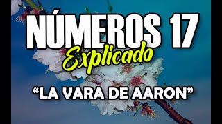 NÚMEROS 17 - EXPLICADO | Reavivados por su Palabra || 27 DE MAYO 2022