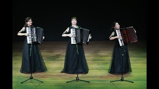 아코디언 연주 ( 전선야곡, 굳세어라 금순아 ) . 아코뮤즈연주단 국립극장 공연중에서