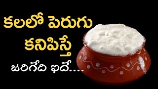 కలలో పెరుగు కనిపిస్తే | కలలో పెరుగు కనిపిస్తే | కలలు వాటి ఫలితాలు | లక్ష్మీ భక్తి