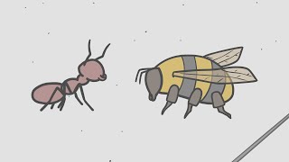 Ant Vs. Bee (Animated Short)