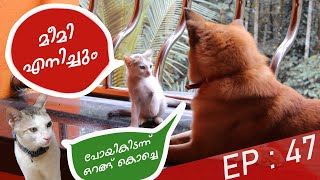 Fishing Freaks Puppykuttan | Puppykuttan Webseries Malayalam comedy FUN DUB ep47