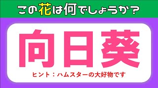 【花の漢字クイズ全15問】簡単編！高齢者向け脳トレ問題を紹介【ヒント付き】