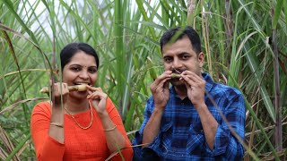 മായമില്ലാത്ത മറയൂർ ശർക്കര കാഴ്ചകൾ / Organic Marayur Jaggery Making