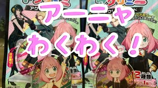 #20 【スパイファミリー】アーニャわくわく(*´꒳`*)