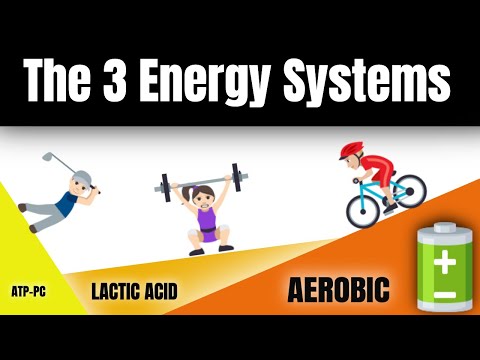 What are the 3 energy pathways?