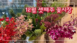 VLOG | florist가 추천하는 시즌꽃 | 12월 셋째주 꽃시장 | 크리스마스 | christmas🎄