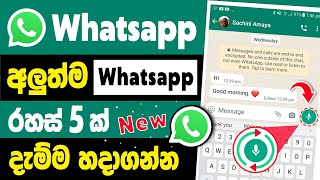 Top 5 Useful New Whatsapp tips and tricks You Should Try | New whatsapp tips and tricks sinhala