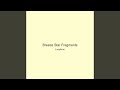 Breeze Star Fragments