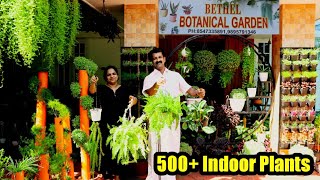 Rare Collection of 500+ indoor, outdoor, hanging plants in Bethel Botanical Garden| Oru Tech Yathra