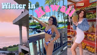 winter week in hawaii vlog 2020 / christmas in kauai