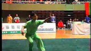 Ding Wei - Changquan - 1996 China Wushu Nationals