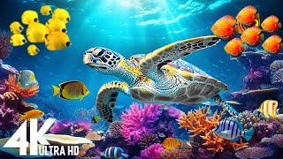 Ocean 4K - Sea Animals for Relaxation, Beautiful Coral Reef Fish in Aquarium, 4K Video Ultra HD #116