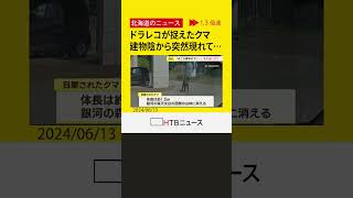 ドライブレコーダーにクマの姿が　建物の陰から突然現れ悠然と…　北海道陸別町「銀河の森天文台」