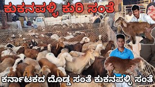 ಕುರಿ ಸಂತೆಯಲ್ಲಿ ಯಾವ ರೀತಿ ಮರಿ ಖರೀದಿಸಬೇಕು | ಕುಕನಪಳ್ಳಿ ಕುರಿ ಸಂತೆಯ ಸಂಪೂರ್ಣ ಮಾಹಿತಿ |