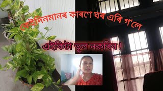 ভাড়া ঘৰত কিয় থাকো ? ।। চাবি লগাই ক'লৈ যাওঁ ?|| #pushpanjalibora