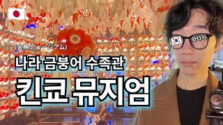 나라 금붕어 수족관! 킨교 뮤지엄🐟🎏 | 겨울에 나라 공원 | 난폭한 사슴 인사 | 요시키엔 정원 | 오사카에서 나라 가기 【🇰🇷혼자일본🇯🇵】