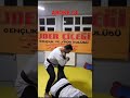 batman sason da Şemsettin hoca dan aikido dersi almak İsteyenler hadi yorumlara yazsın