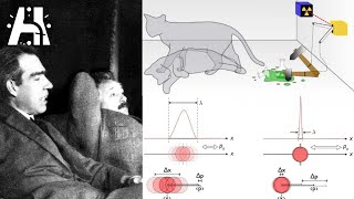 10 Quantum Myths That Need To Be Busted