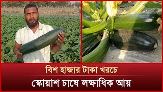 বিদেশি সবজি স্কোয়াশ চাষে বাজিমাত, লাভবান কৃষকরা | News