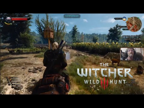 Witcher 3 Expansion Part 14 #witcher