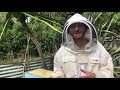 How to get bees into the Flow Super 🍯🐝