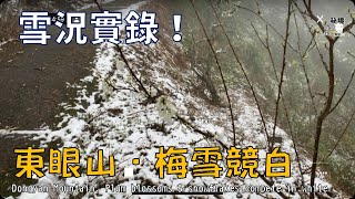 《直播影片》追雪！東眼山下雪了❄️！2024.1.23