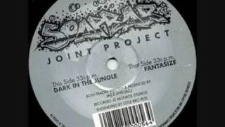 Joint Project (Jaz E \u0026 Jaz J) - Fantasize