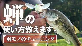 【トップウォーター】蝉の使い方教えます！