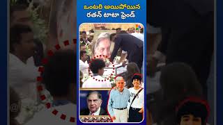 ఒంటరి అయిపోయిన రతన్ టాటా ఫ్రెండ్ శాంతను#ratantata #shantanunaidu #tata #shorts