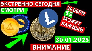 👑 ЭКСТРЕННО СМОТРИ ПРОГНОЗ LTC ✅ ЧТО ОЖИДАТЬ ОТ РЫНКА АЛЬТКОИНОВ И БИТКОИН СЕГОДНЯ