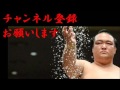 宝富士vs勢 sumo takarafuji vs ikioi 大相撲平成28年初場所　琴奨菊初優勝場所での幕内力士激闘