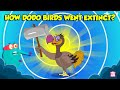 The Mysterious Extinction Of Dodo Birds | Story of Dodo Birds | Extinct Birds | The Dr. Binocs Show