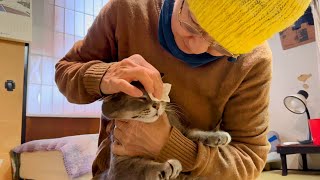 雪がたくさん積もった朝..  朝ごはんの前に呼ばれて日めくりをめくり.. お皿を持って2階に上がり.. おじいちゃんに挨拶してから目薬を注して.. しっかり食べてもまだ物足りなさそうな猫・・・