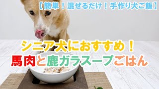 【簡単手作り犬ご飯】シニア犬におすすめ！馬肉と鹿ガラスープごはん【帝塚山ハウンドカム】