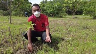 โครงการอนุรักษ์พันธุกรรมพืชอันเนื่องมาจากพระราชดำริ สมเด็จพระเทพรัตนราชสุดาฯ ของนิคมสหกรณ์พระร่วง