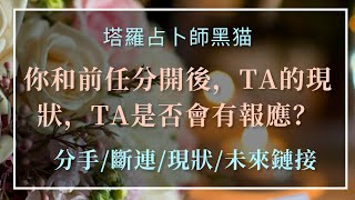 黑貓塔羅🌹占卜愛情🤔斷聯前任分開後TA的現狀以及未來會如何？是否會受到報應