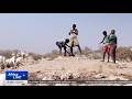 Failed rains lead 6.5 million into hunger in Somalia