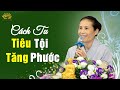 Cách Tu Tiêu Tội Tăng Phước Nhanh Nhất 20/10/Kỷ Hợi