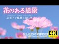 [Healing] Scenery with flowers VOL.2 (6 hours) / Relax and recover your tired mind and body.