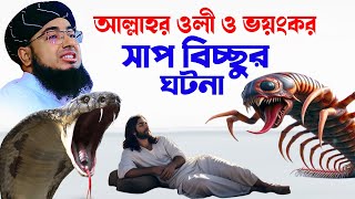 আল্লাহর ওলী ও ভয়ংকর সাপ বিচ্ছুর ঘটনা | jahirul islam foridi | মুফতি জহিরুল ইসলাম ফরিদী