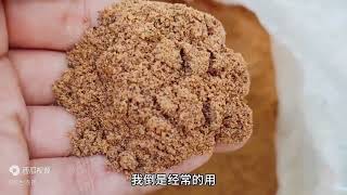 菜地蜗牛成灾怎么办？教你一招快速灭杀方法，一次搞定蜗牛、蛞蝓