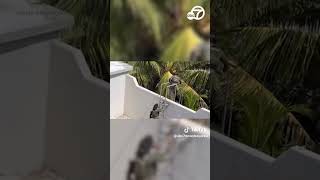 4 found dead in hotel area of Mexico's Cancun beach resort