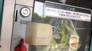 白石農園前の野菜無人販売所　2012年5月21日13:40