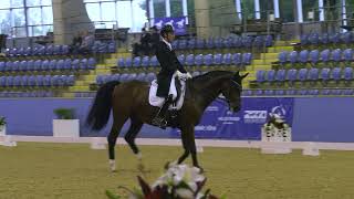 Jayden Brown and Wallinga Park Sky Diamond 2nd place in the Grand Prix CDI3* at the Sydney CDI Lite