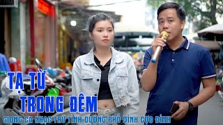 Tạ Từ Trong Đêm - Giọng Ca Nhạc Trữ Tình Đường Phố Đỉnh Cực Đỉnh - Trường Lê