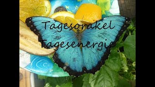 Tagesorakel –  Donnerstag  24.08.2017