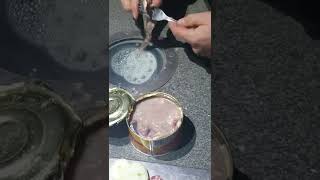 surströmming challenge  prawda czy mit .wyzwanie przyjęte.